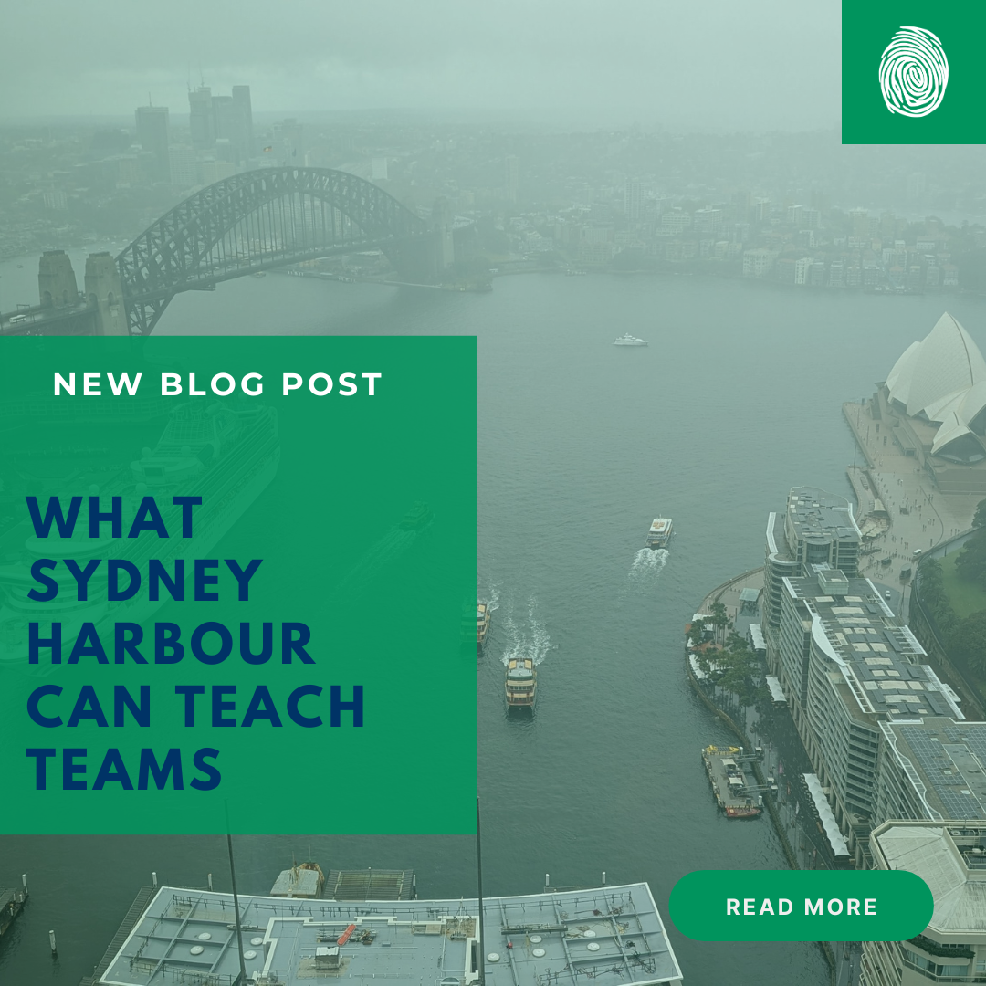 What Sydney Harbour Can Teach Teams