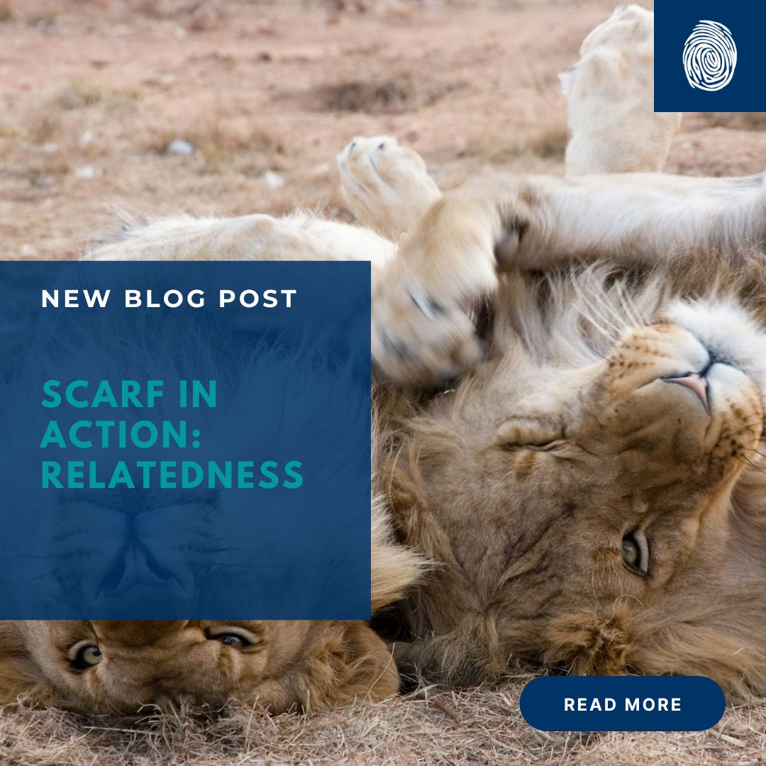 SCARF in Action: Relatedness