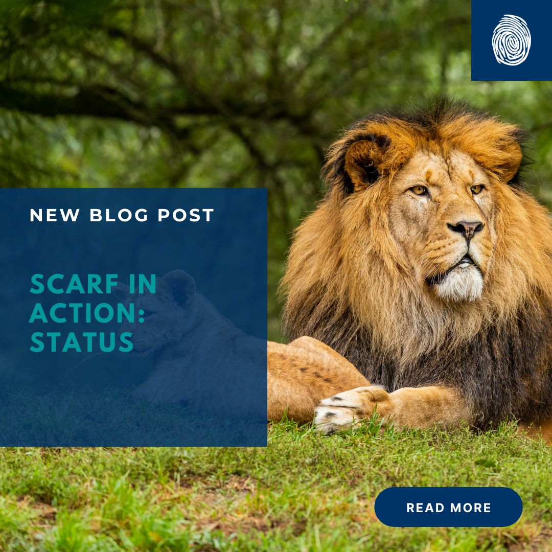 SCARF in Action: Status